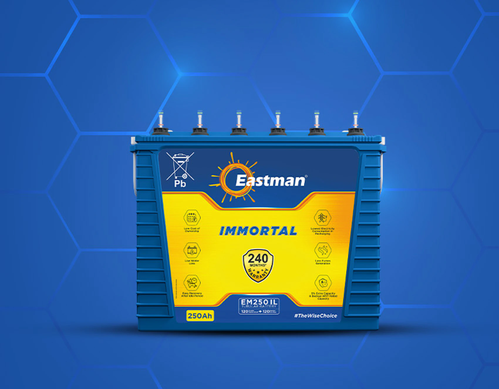 Eastman regular tubular battery