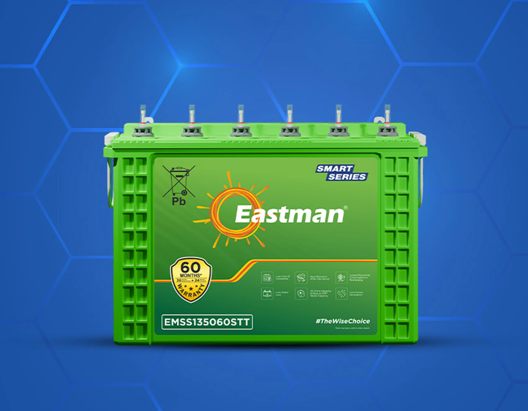 Eastman smart tubular battery